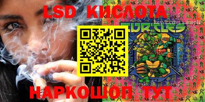 индика Новозыбков