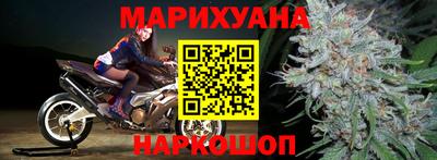 индика Новозыбков