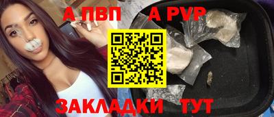 индика Новозыбков