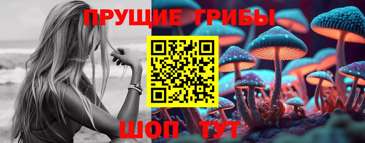 Псилоцибиновые грибы ЛСД  продажа наркотиков  Свободный  Вход с VPN 