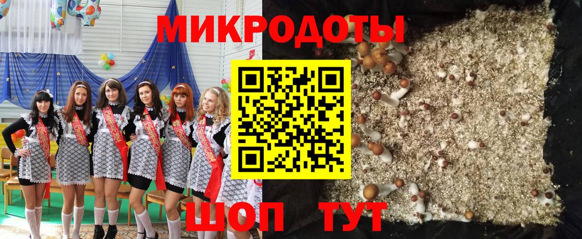 Псилоцибиновые грибы Psilocybe Свободный